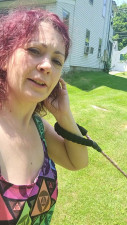 Raynbow Starr WAM - Update nd daily 4