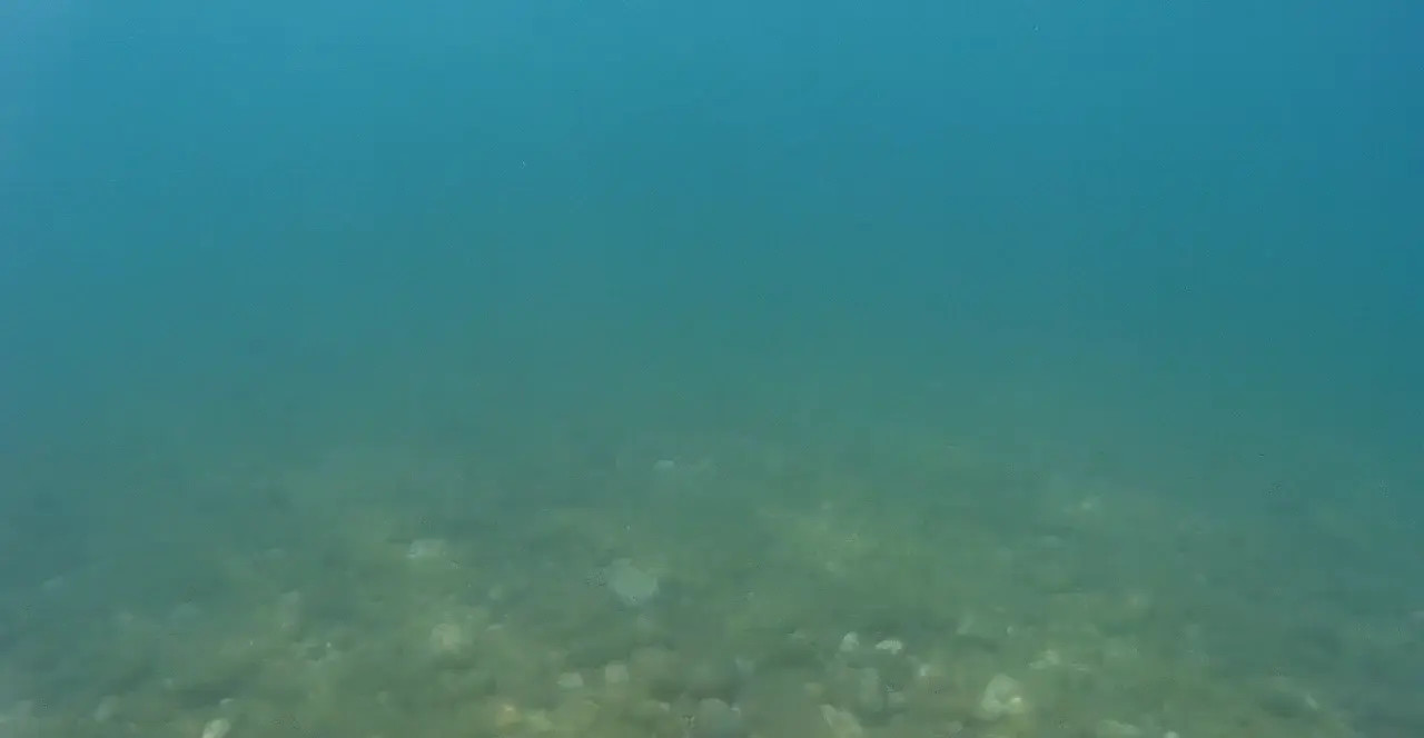 Exclusive Leak: HairyMiodelka - My friend filmed me while in swim in Mid - Stream in FullHD | Hotleakxxx.com