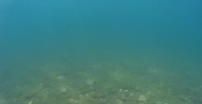 HairyMiodelka - My friend filmed me while in swim in Mid