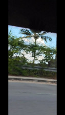 Maxine_C - Brazil