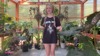 Destinationkat - My Greenhouse Tour