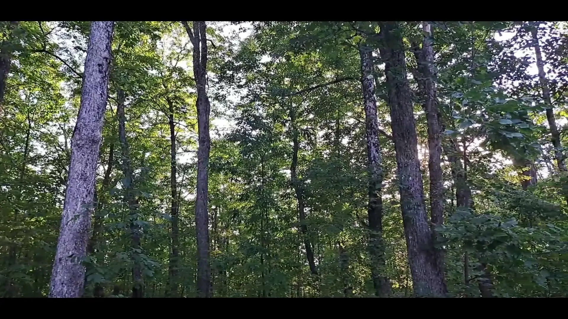 Exclusive Leak: MoonConjured - Camp Crystal Lust - sneak peek - Stream in FullHD | Hotleakxxx.com