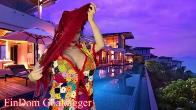 FinDom Goaldigger - My Will