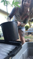 knockmyplantiesoff - Let's transplant our plants together