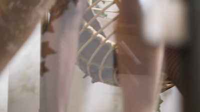 Anna Polina - Intro Anna Polina &Cassie Del Isla 4some
