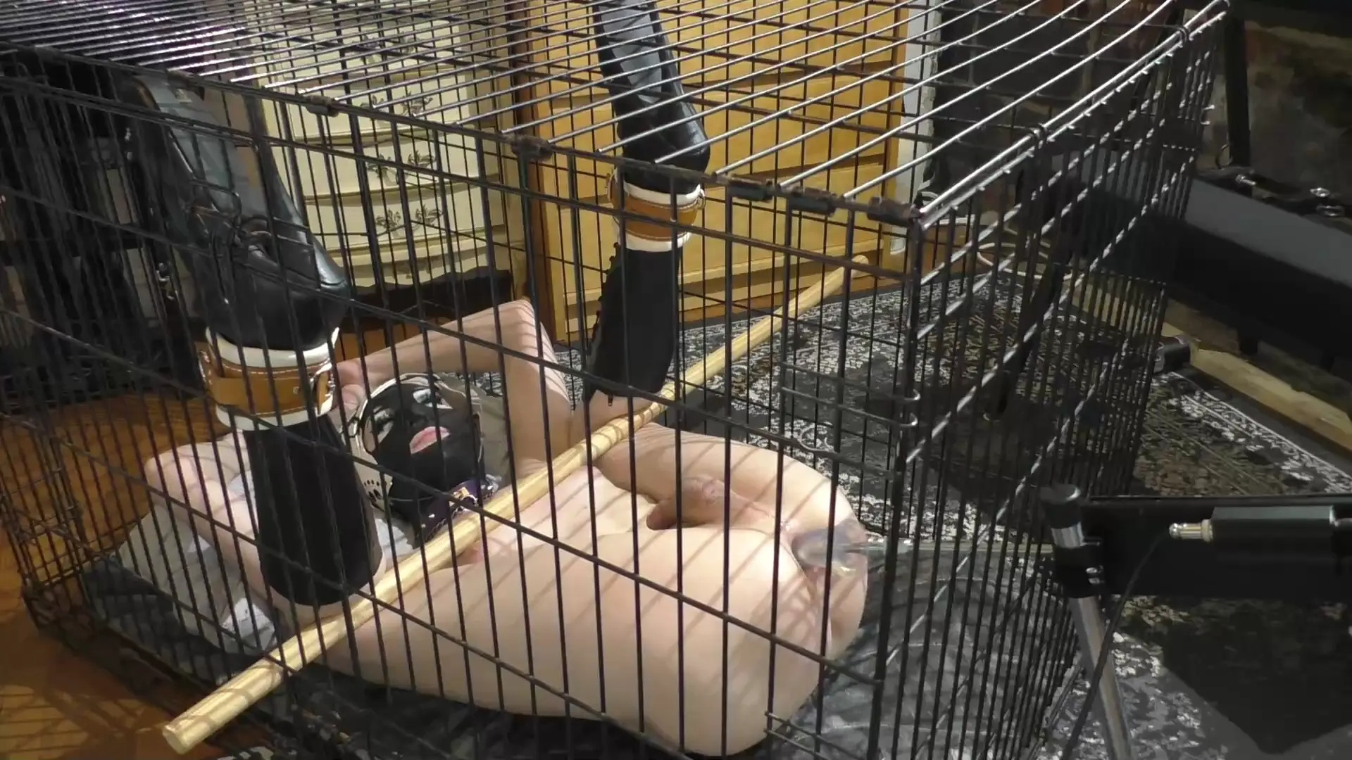 Exclusive Leak: ryu MV - ryu bondage cage with anal fuck machine - Stream in FullHD | Hotleakxxx.com