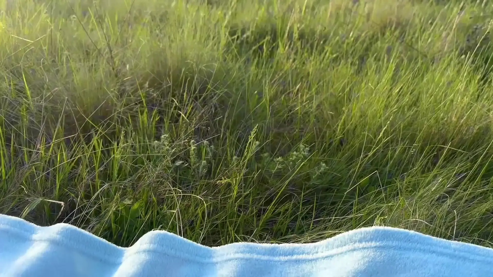 Exclusive Leak: Naseeraa - Eating Fruits - Sweet Picnic With Naseera - Stream in FullHD | Hotleakxxx.com