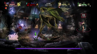 SlimReaperXXX - Dragon Crown  Wraith