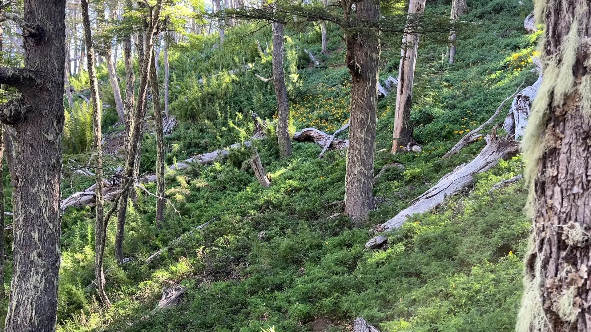 Exclusive Leak: MissSomething - A trip to Patagonia. Free SFW video - Stream in FullHD | Hotleakxxx.com