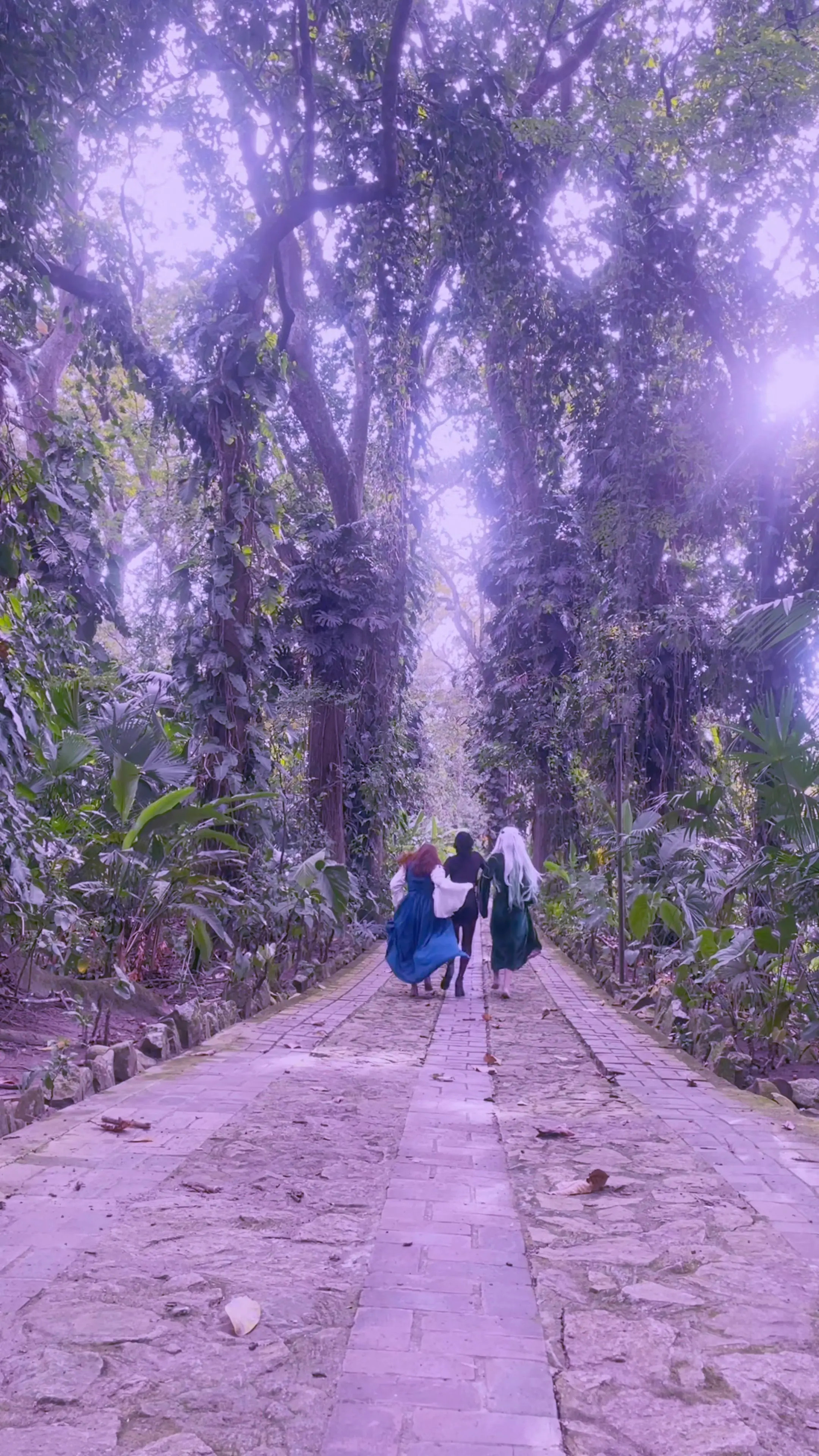 Exclusive Leak: Sofi_elfqueen - In the elven forest we find an intruder - Stream in FullHD | Hotleakxxx.com