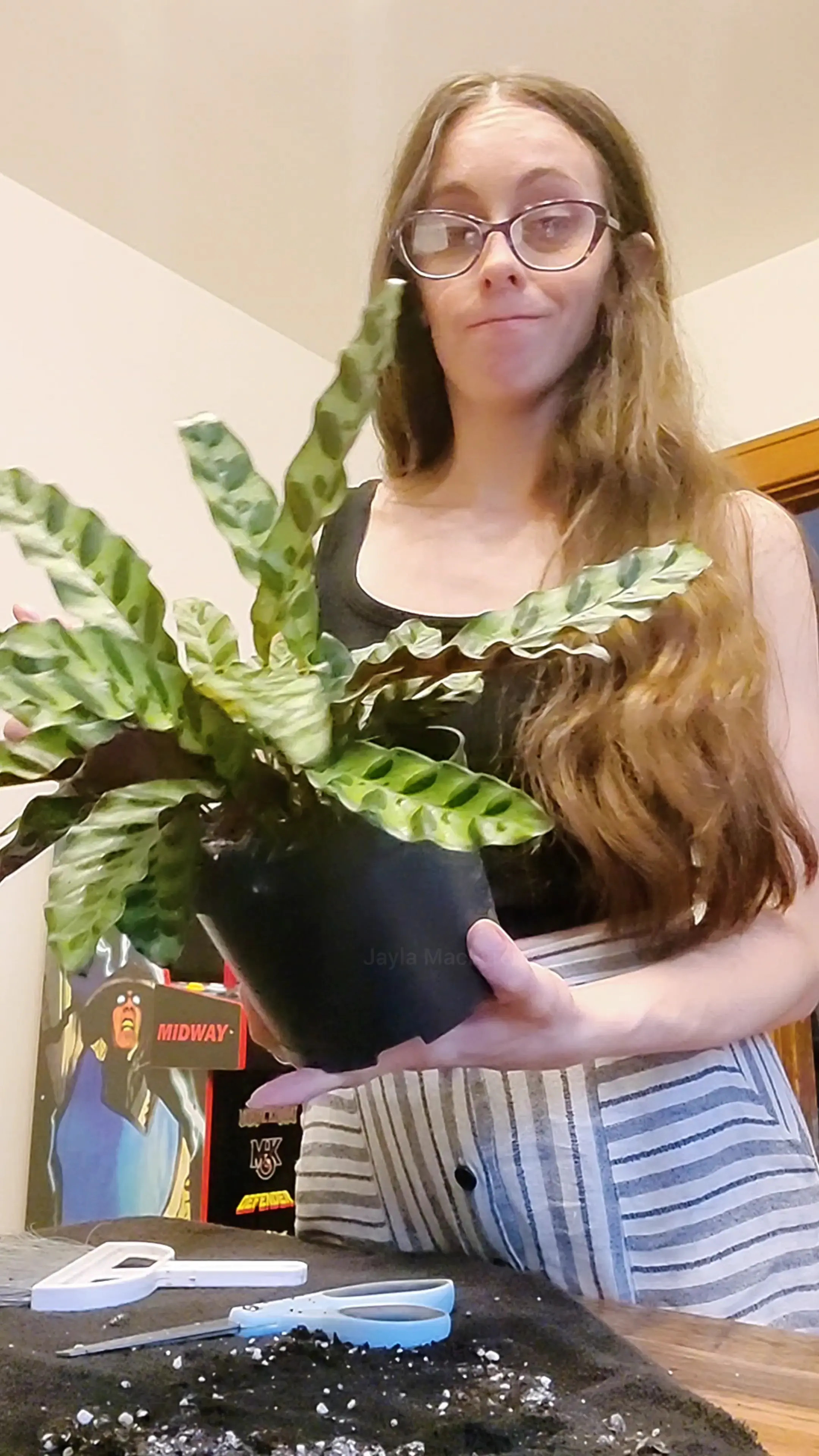 Exclusive Leak: JaylaMaclaren - Houseplant Hobbie, Repotting a New Plant - Stream in FullHD | Hotleakxxx.com