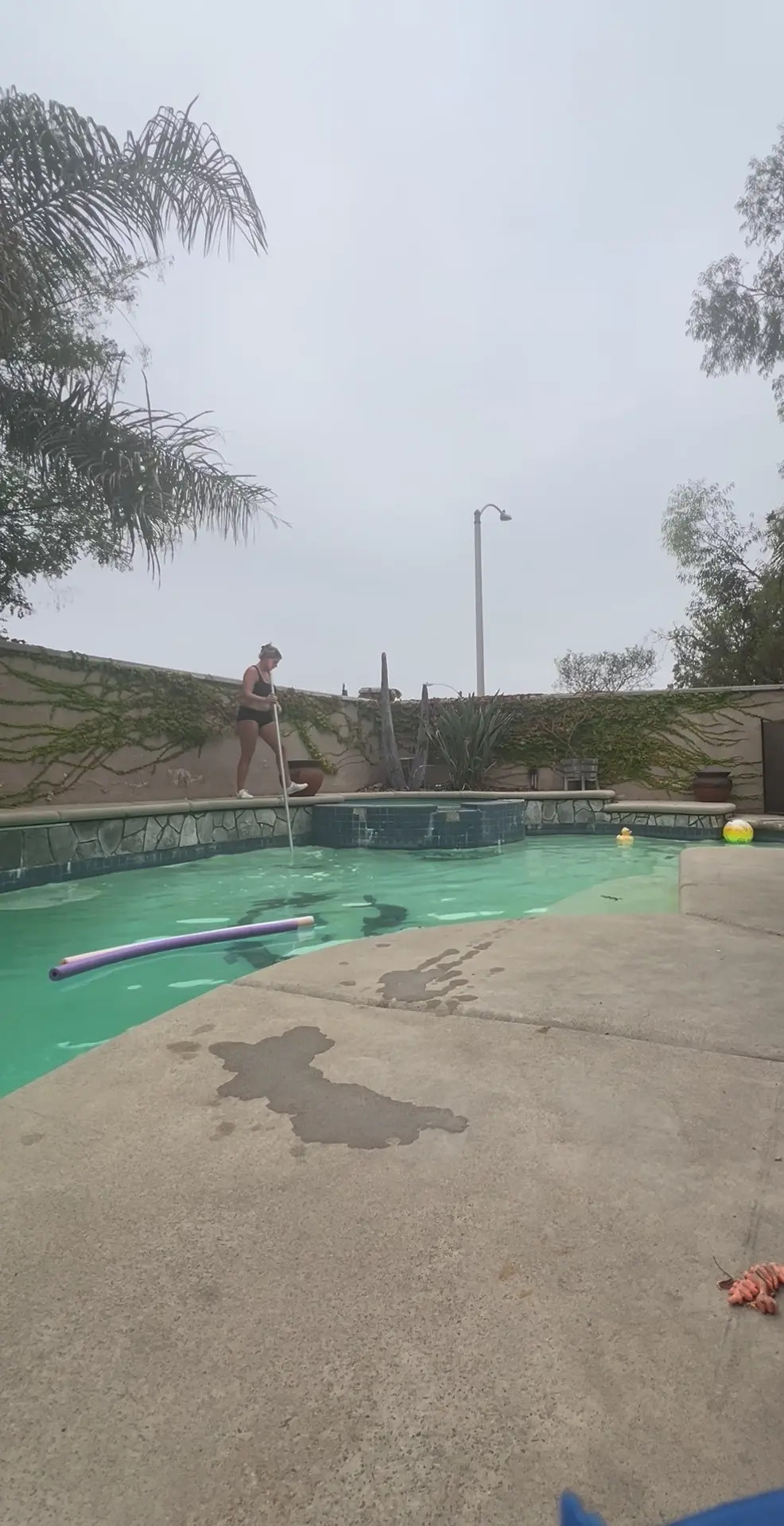Exclusive Leak: BriBrooksxxx - SFW pool cleaning - Stream in FullHD | Hotleakxxx.com