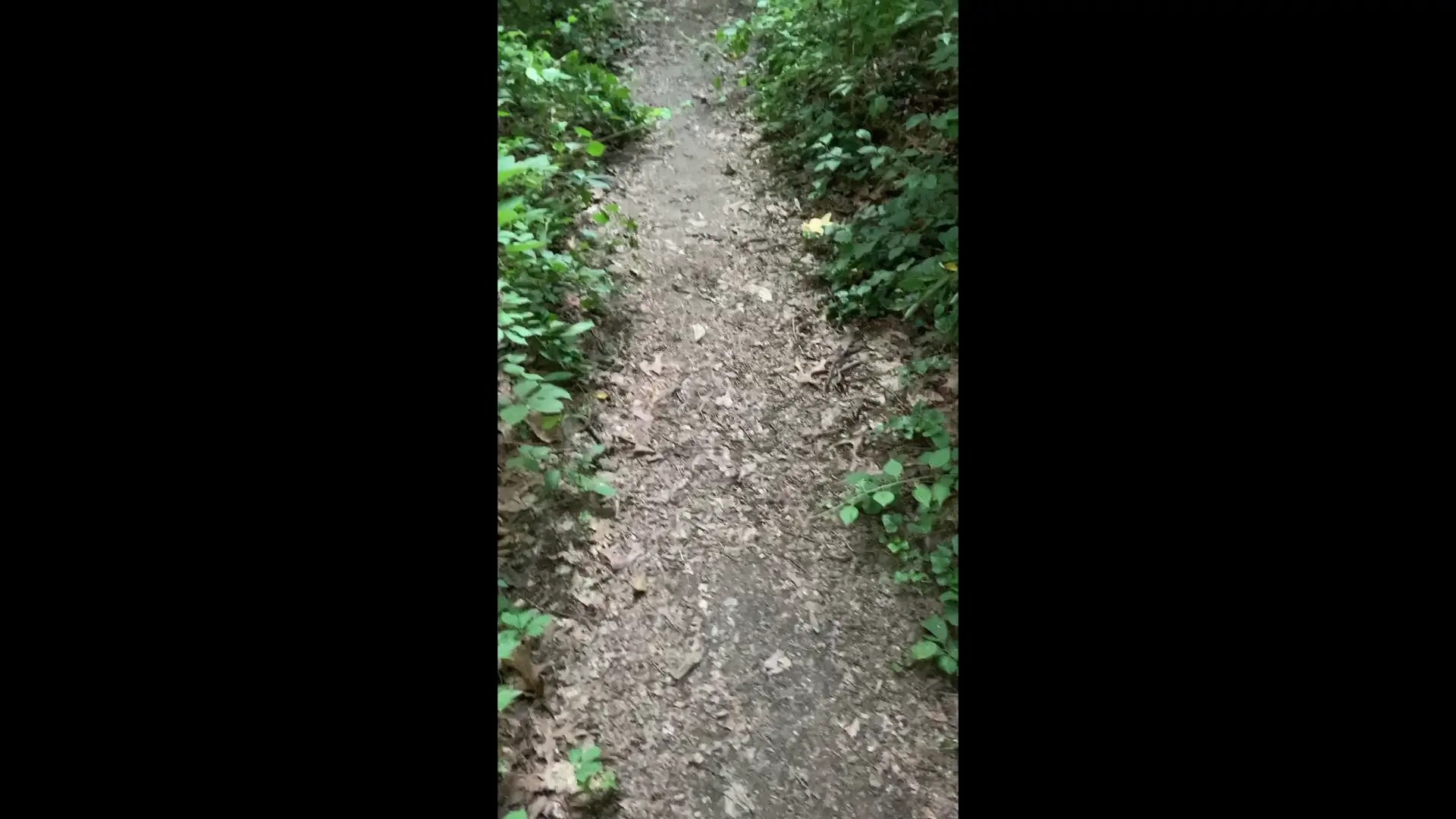 Exclusive Leak: VioletVanity - Eating a JUICY peach in the woods - Stream in FullHD | Hotleakxxx.com
