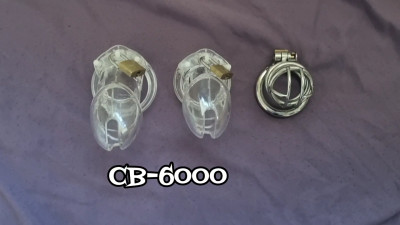 Anal_Goddess_TS - Chastity Evolution