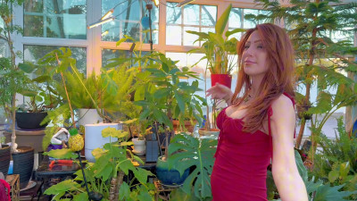 TrophyWifeNat - TrophyWifeNat - The Solarium Garden Tour