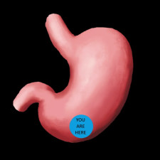 MKLabs - Endo Tummy Ambience vore ASMR