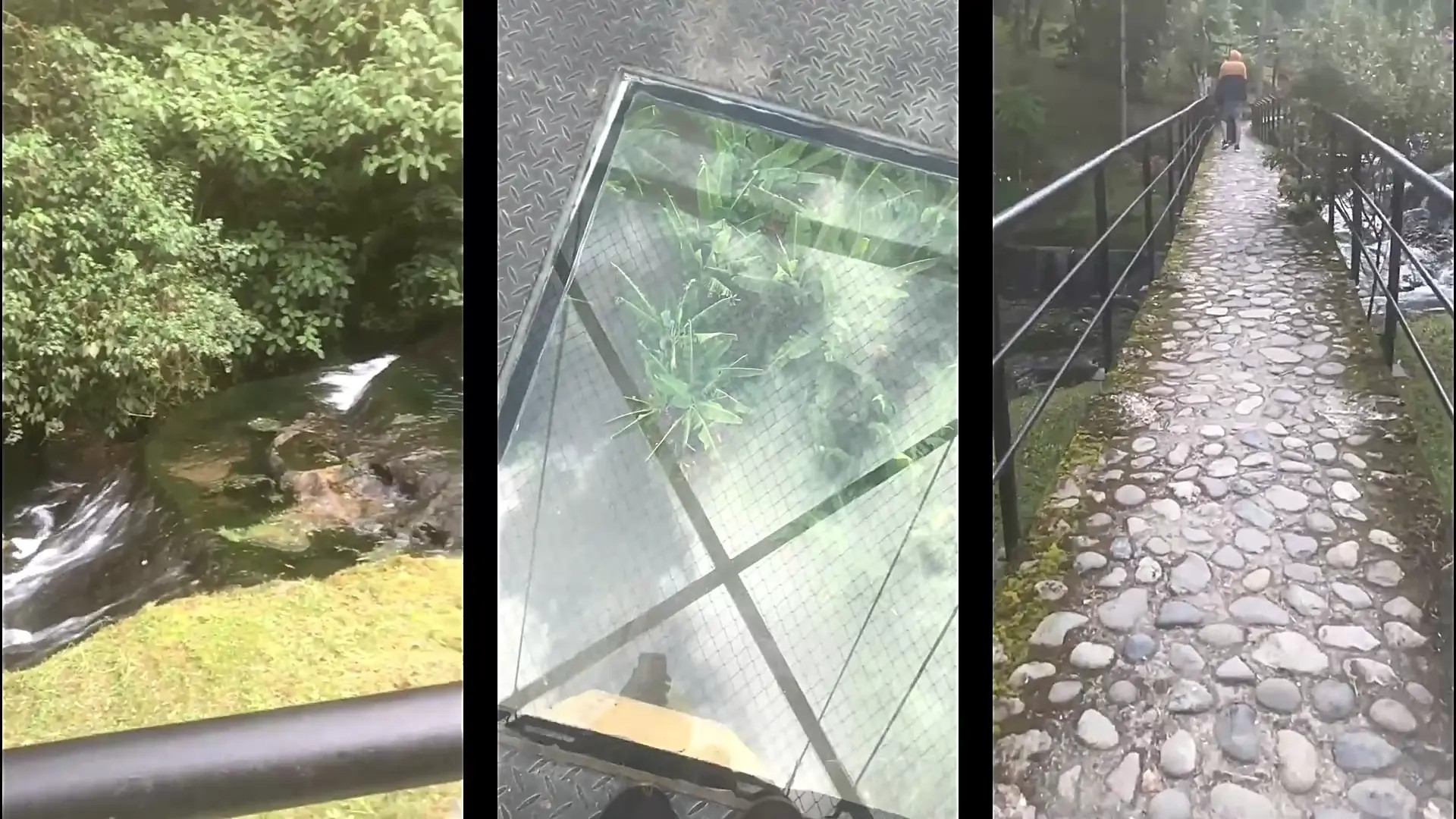 Exclusive Leak: IsabelPrietoo - My trip to Quindio, Colombia - Stream in FullHD | Hotleakxxx.com
