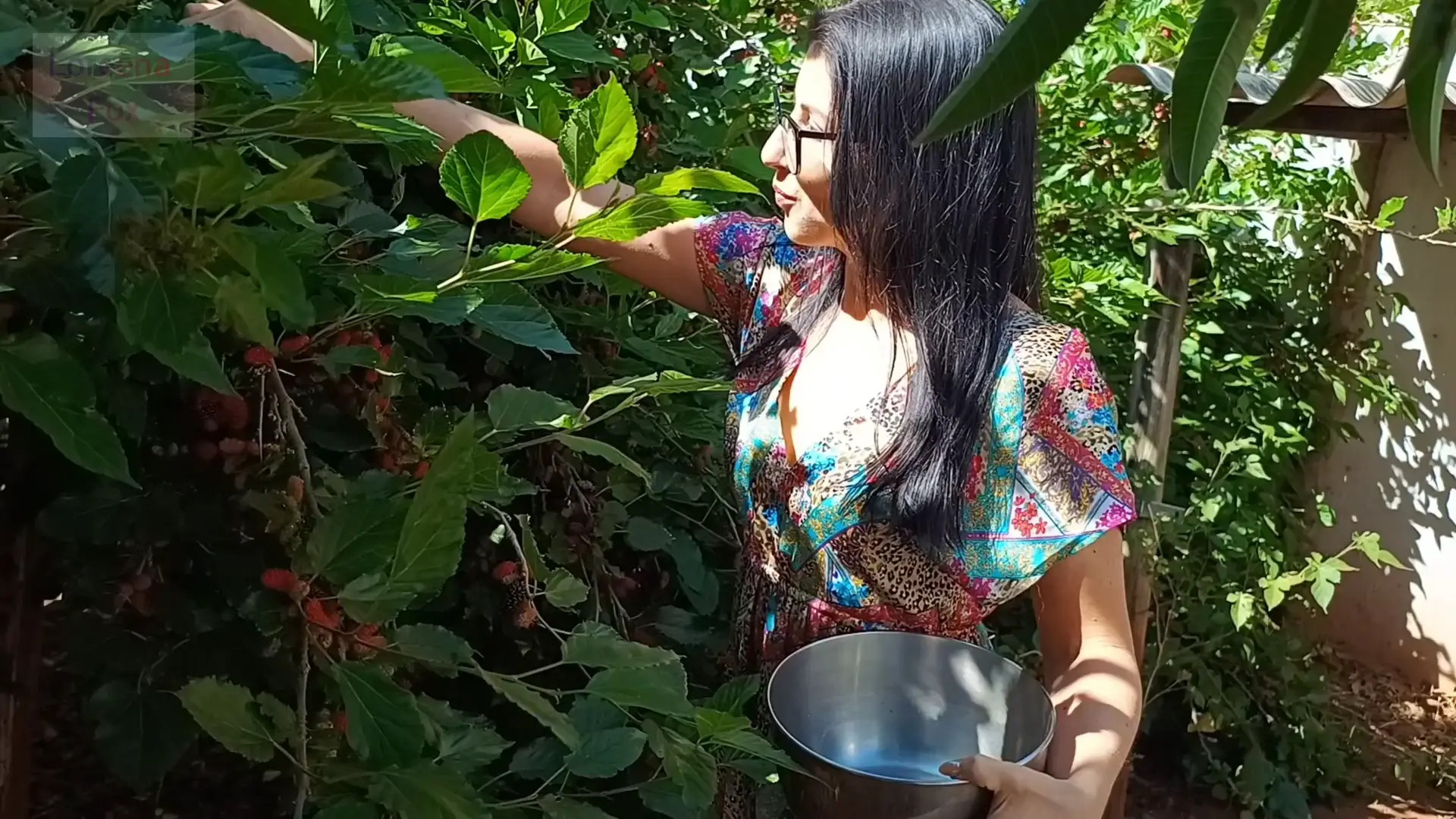Exclusive Leak: Loreena Fox - Help Mommy Pick Mulberries - Stream in FullHD | Hotleakxxx.com