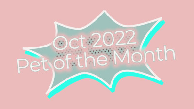 Miss Olivia Black - Oct Teachers Pet of the Month