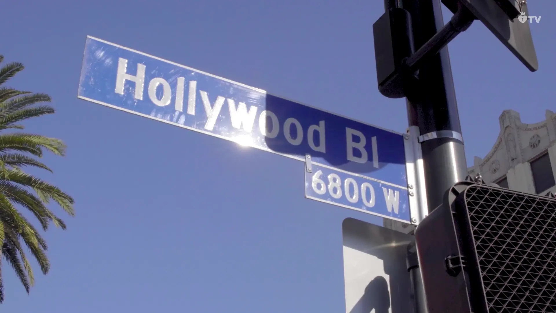 Exclusive Leak: ManyVids - ManyVids In LA - Stream in FullHD | Hotleakxxx.com