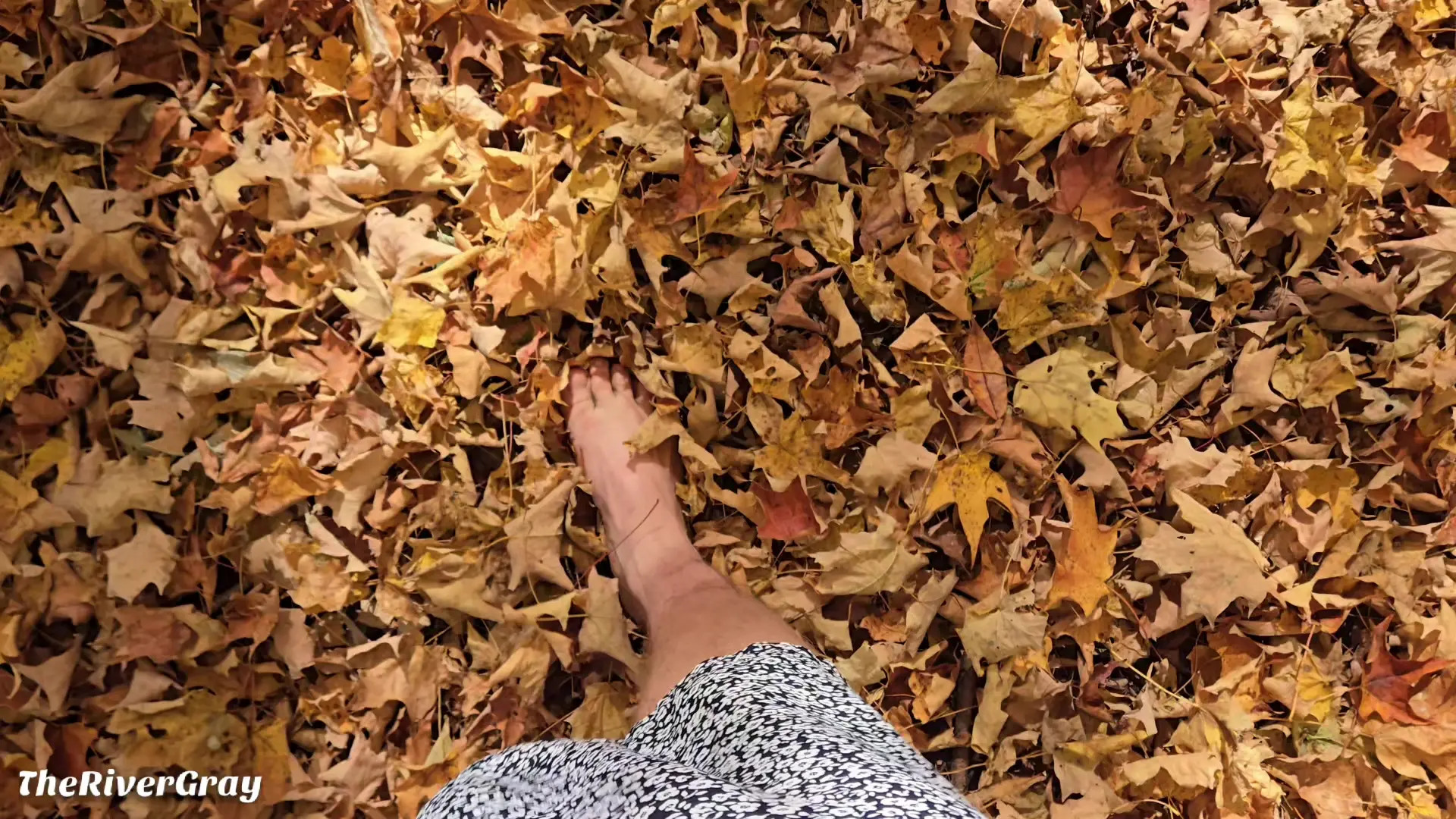 Exclusive Leak: River Gray - Fall Forest Frolic - Stream in FullHD | Hotleakxxx.com