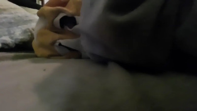 terrigreen - 10-24-25 figure stares at you from under comforter