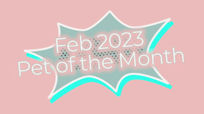 Miss Olivia Black - Feb Teacher's Pet of the Month