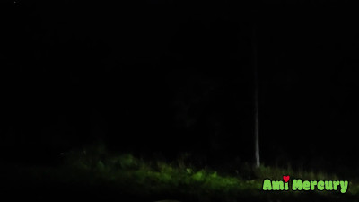 Ami Mercury - The Wolf Within