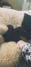 Seletri_Lone - Playful feet. Chill with me