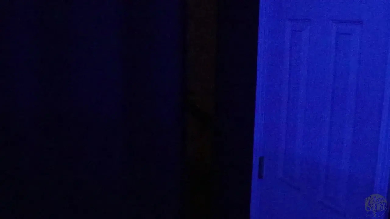 Exclusive Leak: Vixenshelby - Funtime with Toy Chica - Stream in FullHD | Hotleakxxx.com
