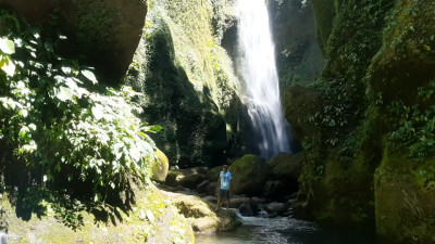 Jungleworld - Waterfalls