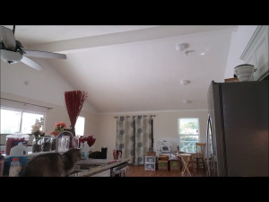 HOLLYHOTWIFE - Teasing The Cable Guy