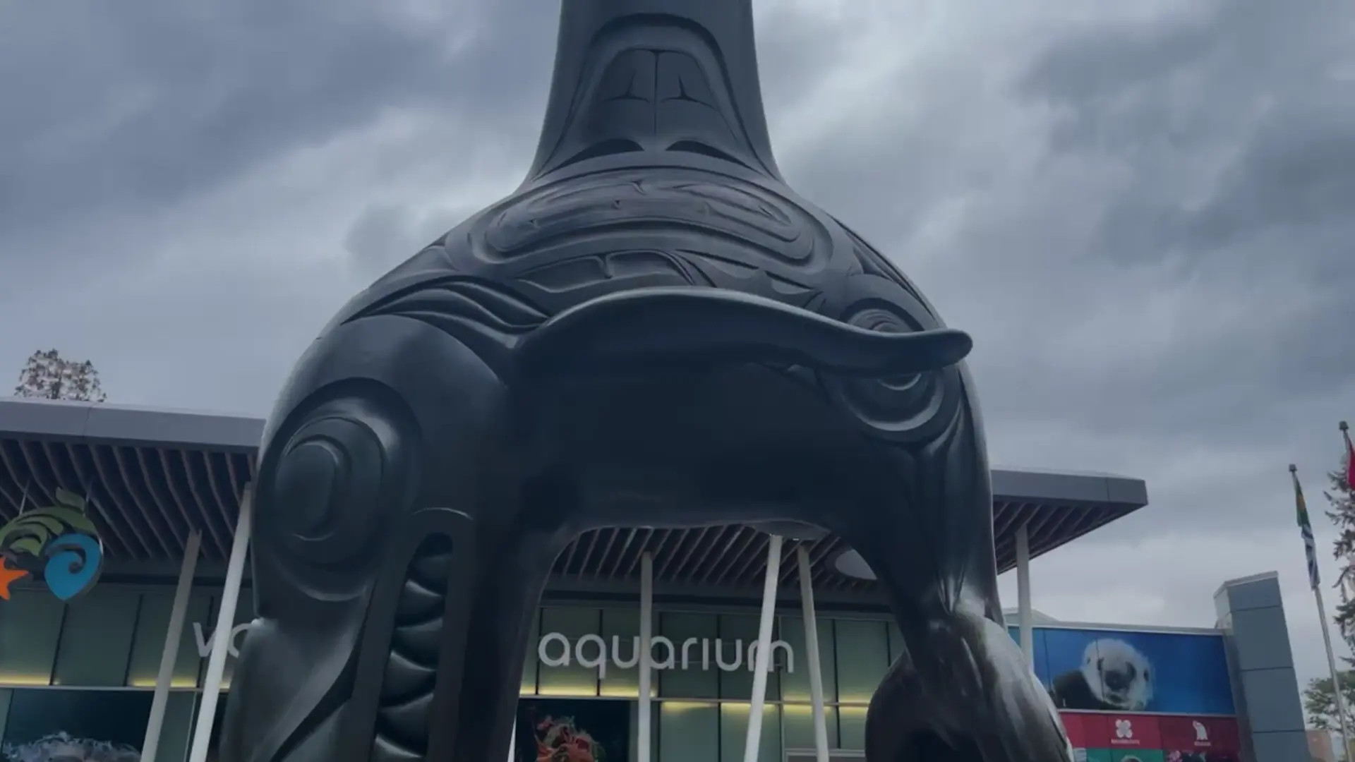 Exclusive Leak: Katja Miyatovich - Exploring the Vancouver aquarium - Stream in FullHD | Hotleakxxx.com