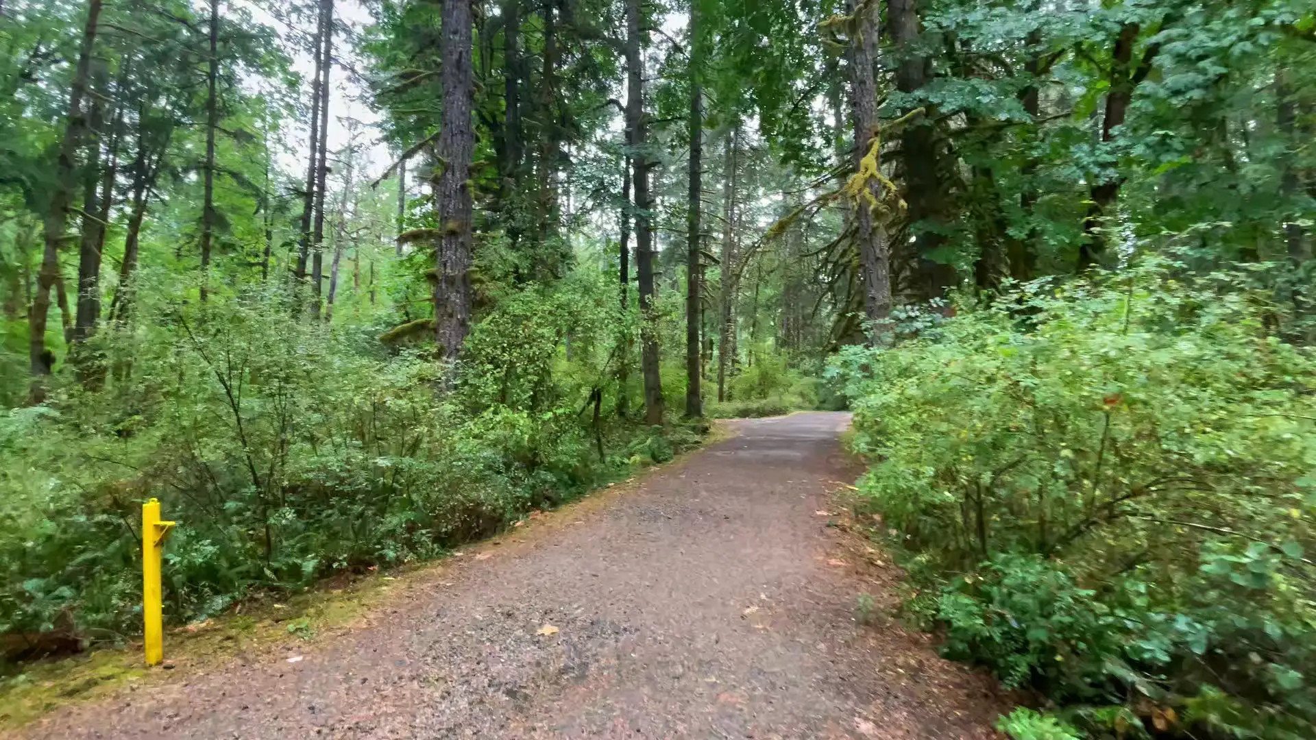 Exclusive Leak: Ravensugar - ASMR Hiking Rainy Day at Sandy Pools - Stream in FullHD | Hotleakxxx.com