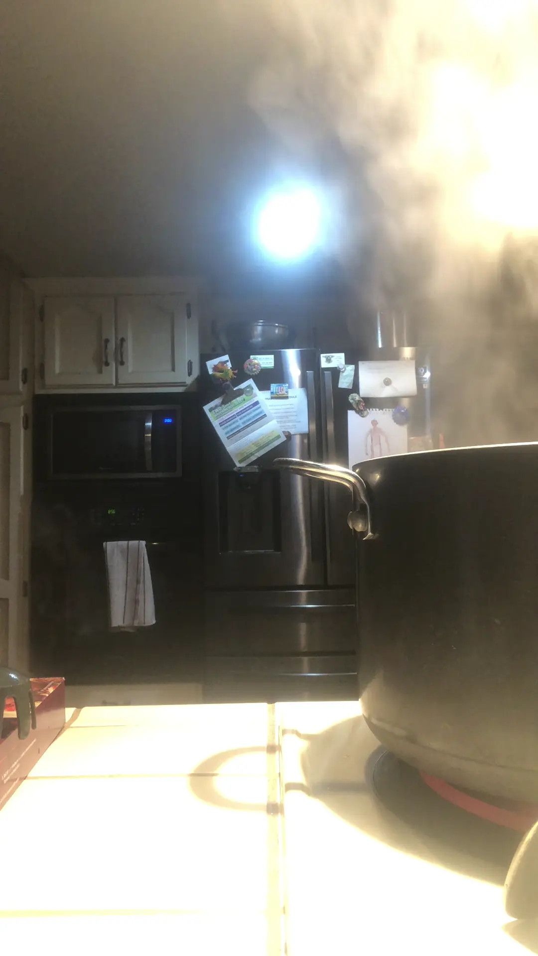Exclusive Leak: Mindyfox - Cooking dinnernon nude - Stream in FullHD | Hotleakxxx.com