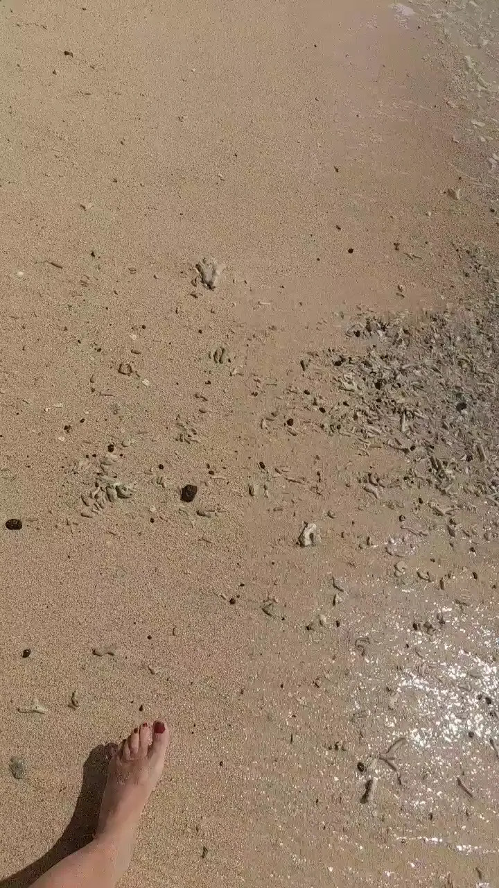 Exclusive Leak: Blackedbythebest_ - Love walking on a beautiful & totally deserted beach - Stream in FullHD | Hotleakxxx.com