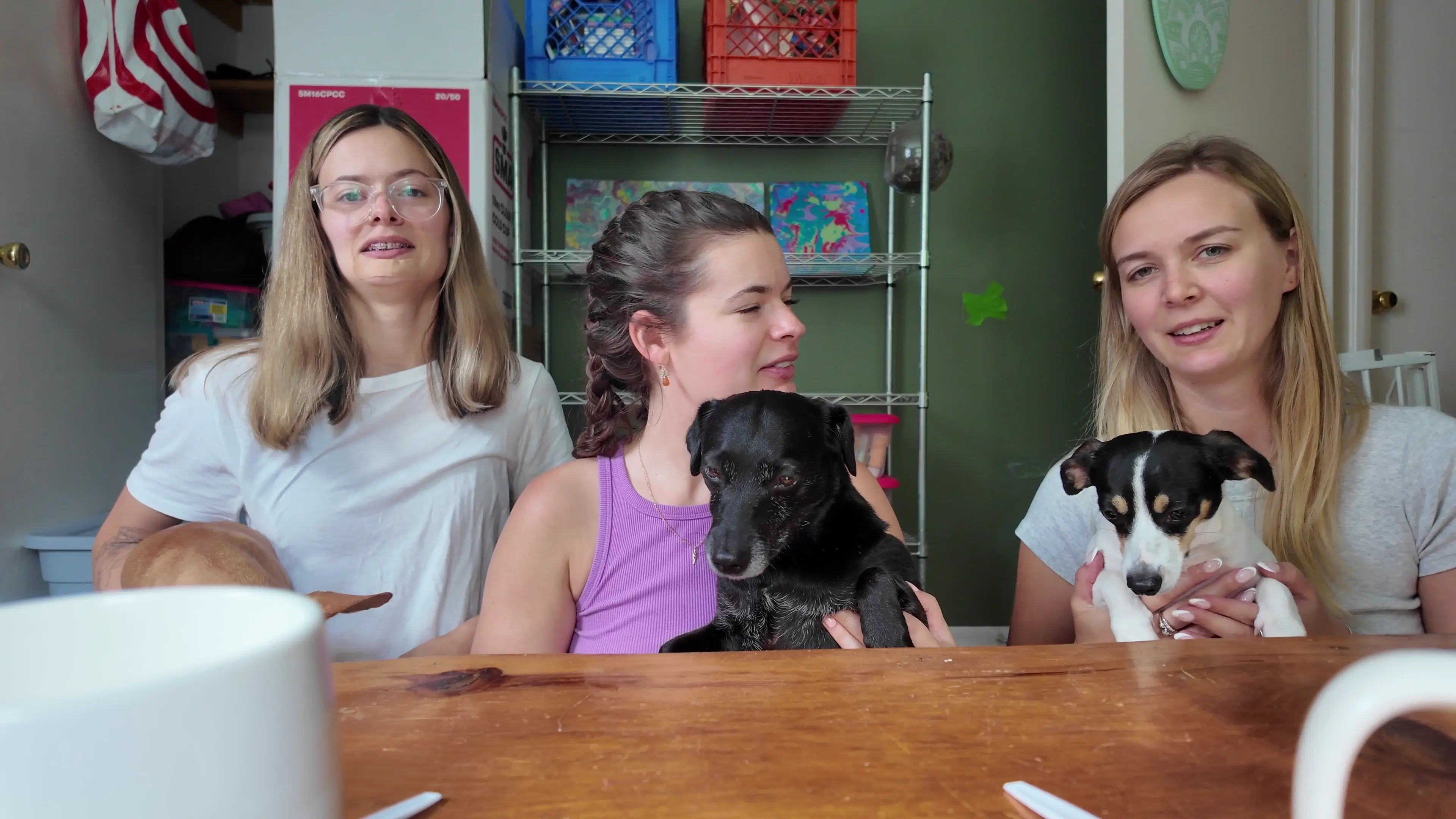 Exclusive Leak: StellaSedona - Oreo Taste Test with New Flavors - Stream in FullHD | Hotleakxxx.com