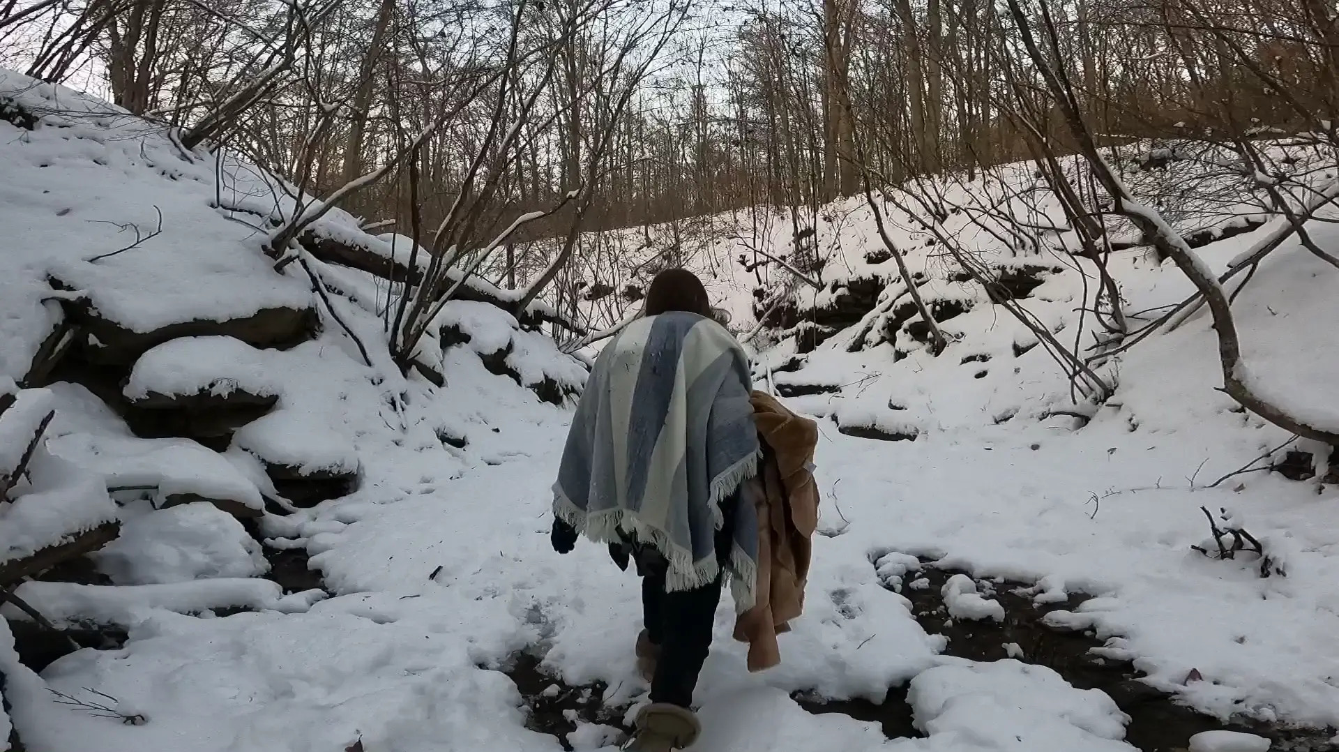 Exclusive Leak: naturestwisted - SFW winter walk - Stream in FullHD | Hotleakxxx.com