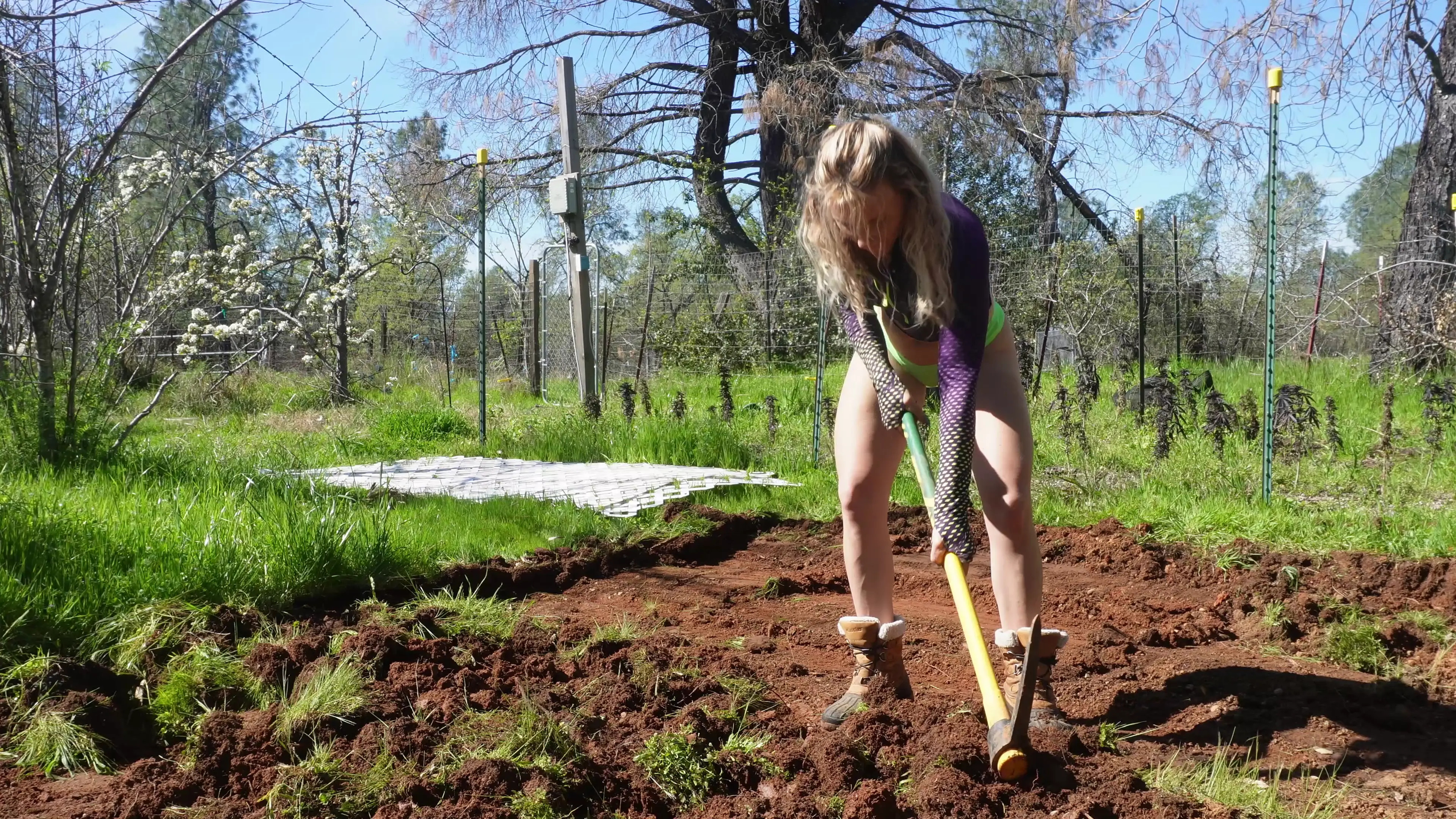 Exclusive Leak: Savmoolah - Gardening, Chest Workout & Outdoor Bikini Stretch - Stream in FullHD | Hotleakxxx.com