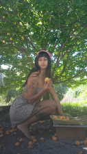 Ilyma7 - Harvesting apricots, I love nature
