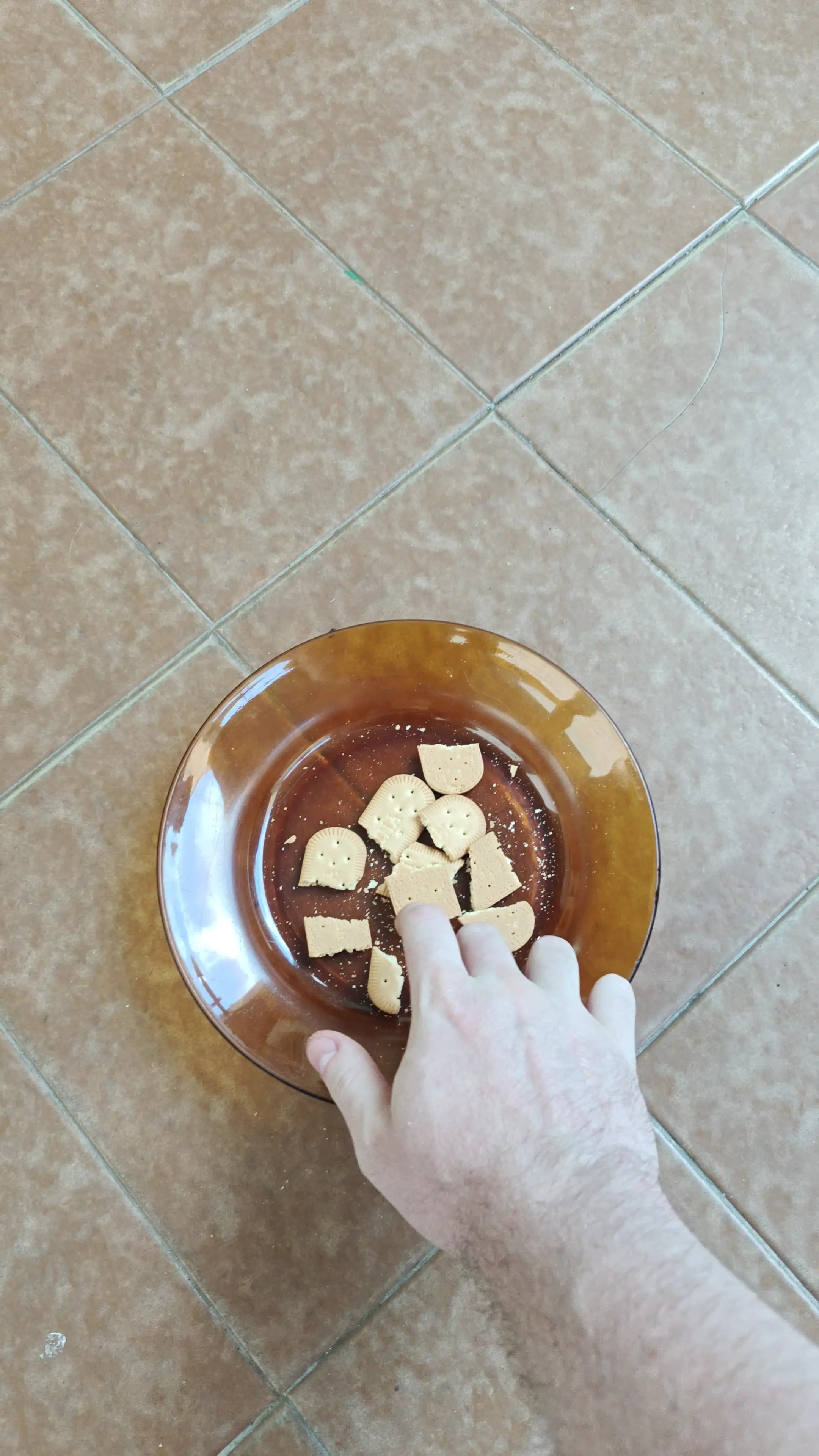 Exclusive Leak: LilySlav3 - Eating Treats on the Floor: Doggy Ears & Treat Time - Stream in FullHD | Hotleakxxx.com