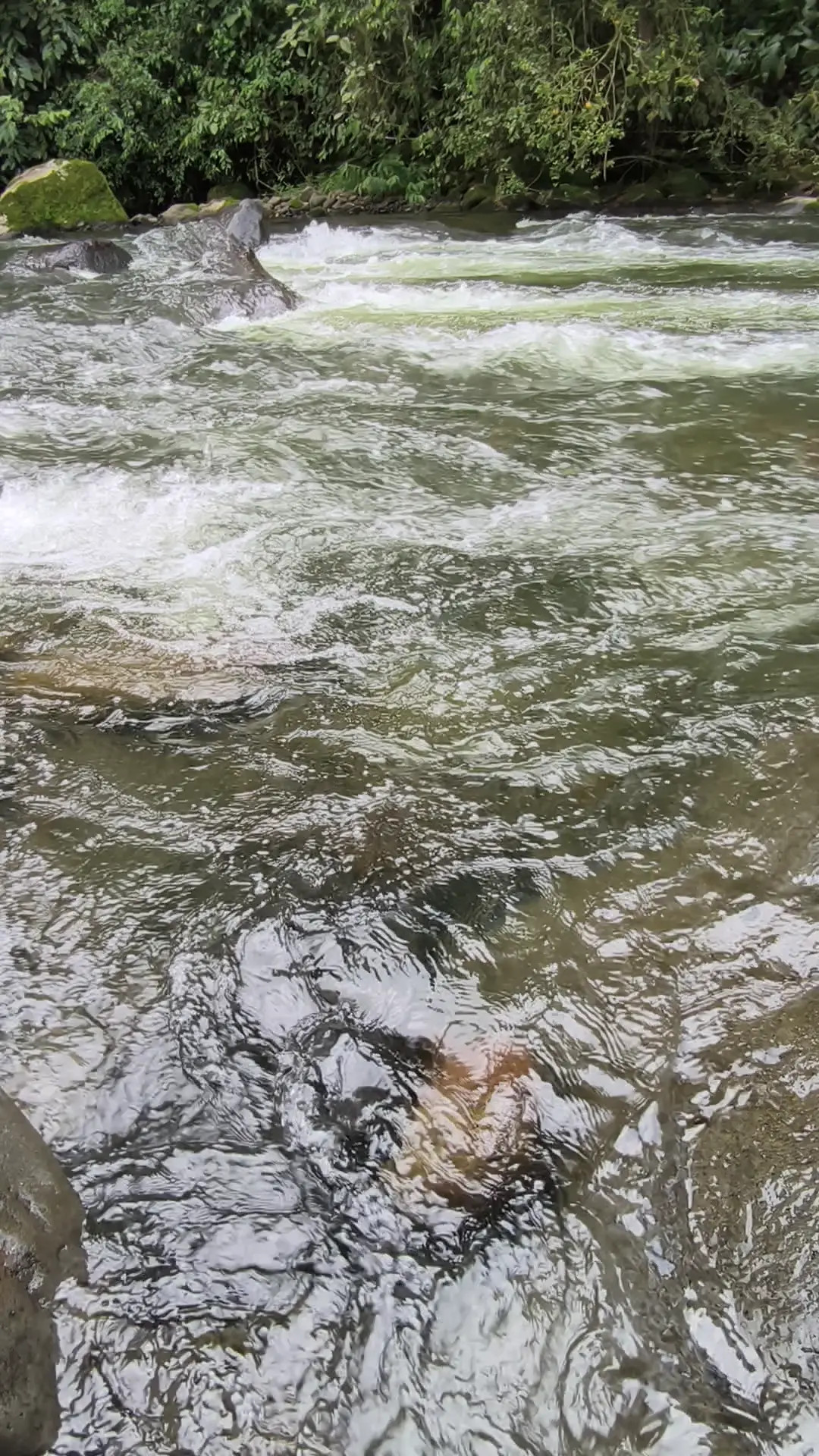 Exclusive Leak: Coralinne_00 - A moment of pure nature - Stream in FullHD | Hotleakxxx.com