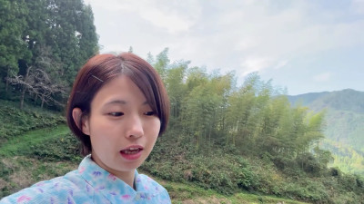 makogirl - mako Harvesting sweet potatoes in the countryside