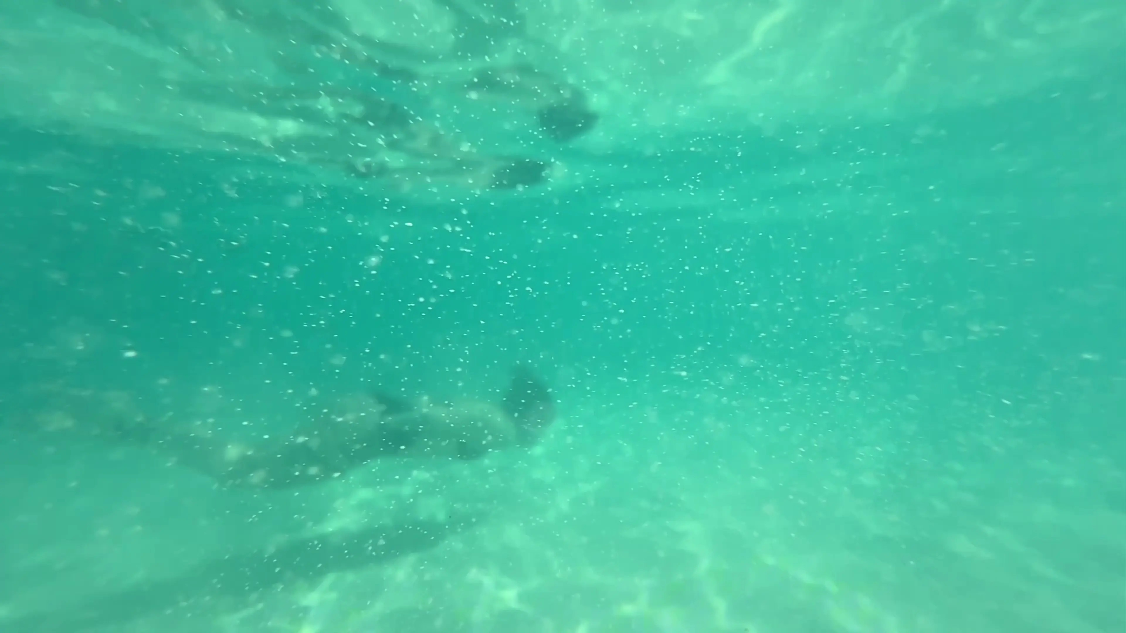 Exclusive Leak: petiterousse - Lets play mermaids - Stream in FullHD | Hotleakxxx.com