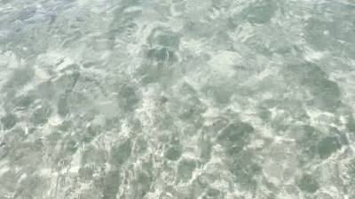 Uncut Adventures - At the Beach