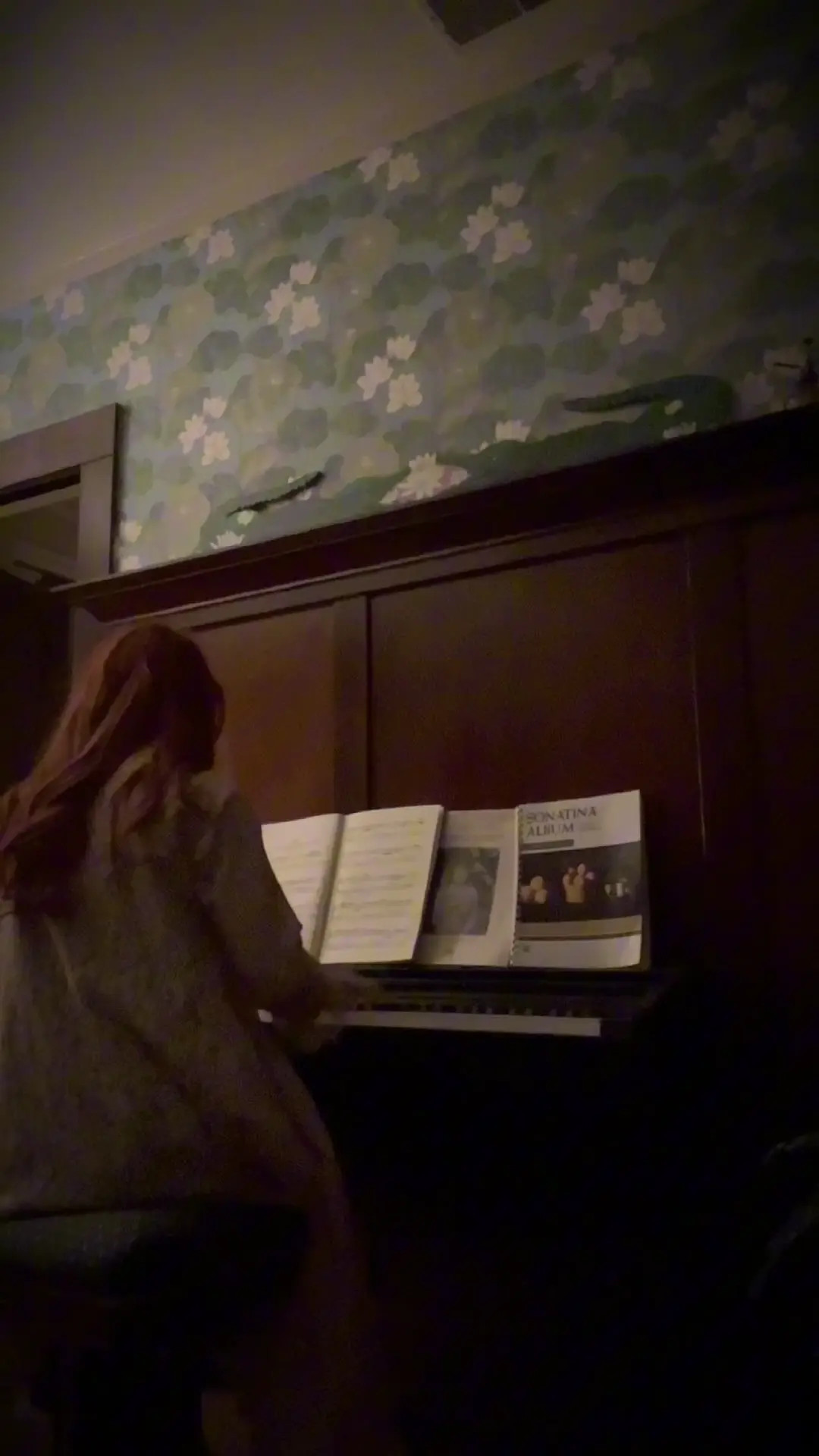 Exclusive Leak: Olive Wood - Bach Goldberg Variations No. 1 - Stream in FullHD | Hotleakxxx.com