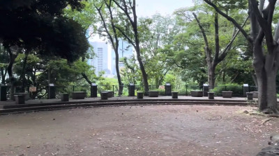 jessiesissyadventure - mini vlog transgirl in japan #1