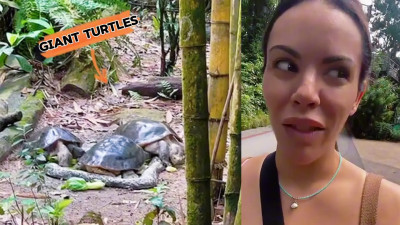 Annika Rain - Singapore Zoo In Review - SFW VLOG