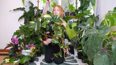 Destinationkat - Plants I Got In Jan / Feb