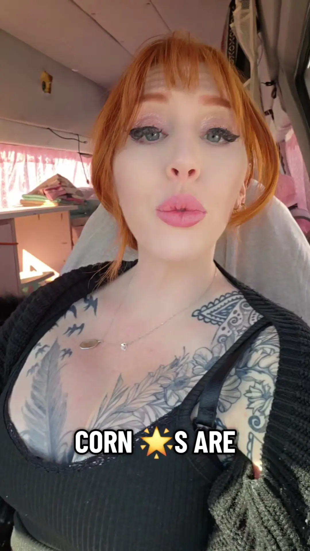 Exclusive Leak: SummerSinclaire - Summer's 1st Van Life Update! Porn Star Problems - Stream in FullHD | Hotleakxxx.com